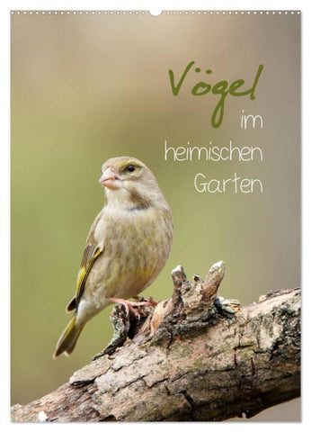 Vögel im heimischen Garten (Wandkalender 2027 DIN A2 hoch), CALVENDO Monatskalender