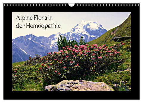 Alpine Flora in der Homöopathie (Wandkalender 2026 DIN A3 quer), CALVENDO Monatskalender