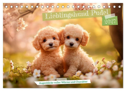 Lieblingshund Pudel (Tischkalender 2027 DIN A5 quer), CALVENDO Monatskalender