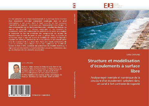 Structure et modélisation d'écoulements à surface libre