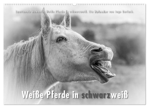 Emotionale Momente: Weiße Pferde in schwarzweiß. (Wandkalender 2027 DIN A2 quer), CALVENDO Monatskalender