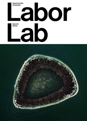 Sarah Ancelle Schönfeld: Labor Lab