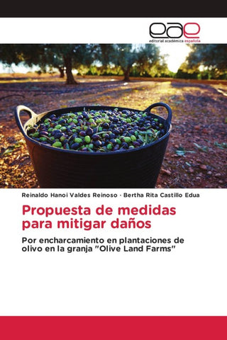 Propuesta de medidas para mitigar daños