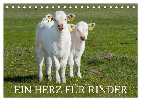 Ein Herz für Rinder (Tischkalender 2027 DIN A5 quer), CALVENDO Monatskalender