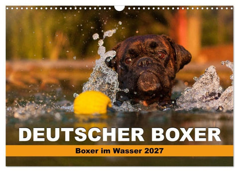 Deutscher Boxer - Boxer im Wasser 2027 (Wandkalender 2027 DIN A3 quer), CALVENDO Monatskalender
