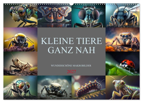 Kleine Tiere ganz nah (Wandkalender 2027 DIN A2 quer), CALVENDO Monatskalender