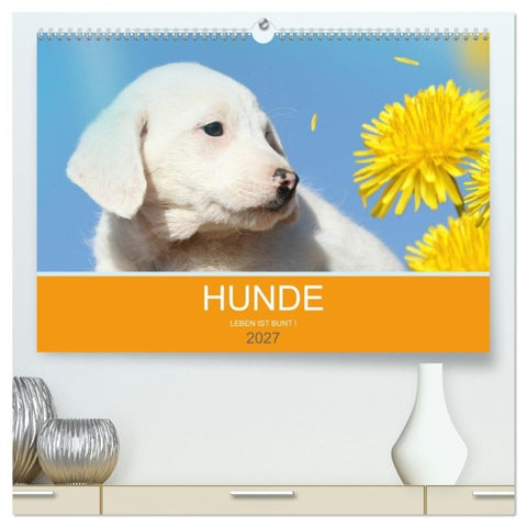 HUNDE LEBEN IST BUNT (hochwertiger Premium Wandkalender 2027 DIN A2 quer), Kunstdruck in Hochglanz