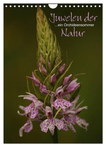 Juwelen der Natur - Ein Orchideensommer (Wandkalender 2027 DIN A4 hoch), CALVENDO Monatskalender