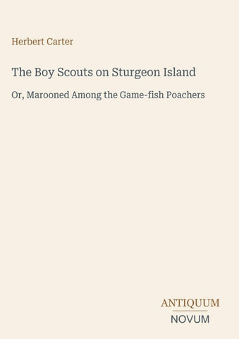 The Boy Scouts on Sturgeon Island