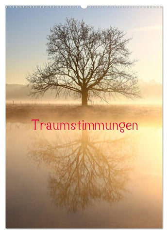 Traumstimmungen (Wandkalender 2026 DIN A2 hoch), CALVENDO Monatskalender