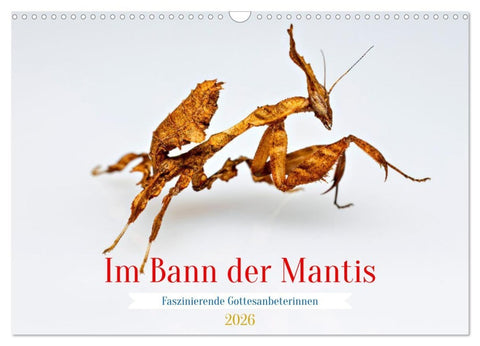 Im Bann der Mantis (Wandkalender 2026 DIN A3 quer), CALVENDO Monatskalender