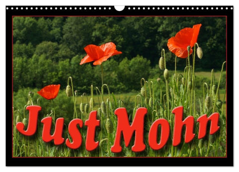 Just Mohn (Wandkalender 2027 DIN A3 quer), CALVENDO Monatskalender