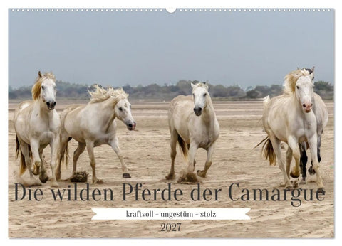 Die wilden Pferde der Camargue (Wandkalender 2027 DIN A2 quer), CALVENDO Monatskalender