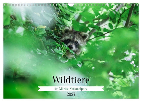 Wildtiere im Müritz-Nationalpark (Wandkalender 2027 DIN A3 quer), CALVENDO Monatskalender