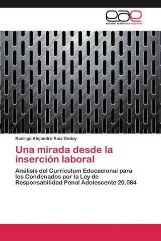 Una mirada desde la inserción laboral