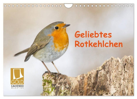 Geliebtes Rotkehlchen (Wandkalender 2027 DIN A4 quer), CALVENDO Monatskalender