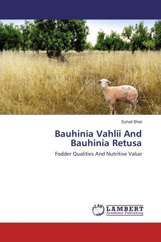Bauhinia Vahlii And Bauhinia Retusa