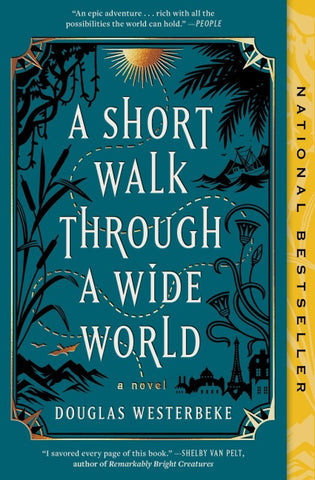 A Short Walk Through a Wide World
