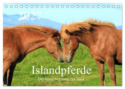 Islandpferde - Die tierischen Stars der Insel (Tischkalender 2027 DIN A5 quer), CALVENDO Monatskalender