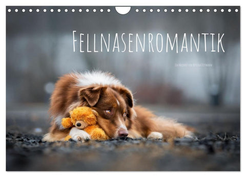 Fellnasenromantik (Wandkalender 2026 DIN A4 quer), CALVENDO Monatskalender