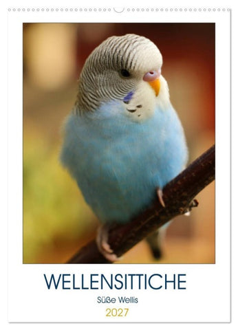 WELLENSITTICHE - Süße Wellis (Wandkalender 2027 DIN A2 hoch), CALVENDO Monatskalender