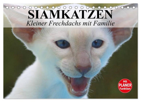 Siamkatzen - Kleiner Frechdachs mit Familie (Tischkalender 2026 DIN A5 quer), CALVENDO Monatskalender