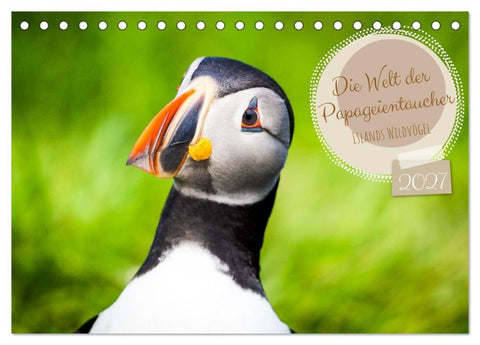 Die Welt der Papageientaucher - Islands Wildvögel (Tischkalender 2027 DIN A5 quer), CALVENDO Monatskalender