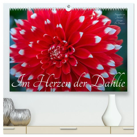 Im Herzen der Dahlie (hochwertiger Premium Wandkalender 2027 DIN A2 quer), Kunstdruck in Hochglanz