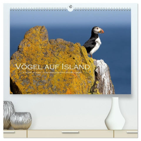 Vögel auf Island (hochwertiger Premium Wandkalender 2027 DIN A2 quer), Kunstdruck in Hochglanz