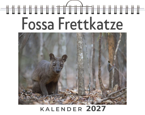 Fossa Frettkatze