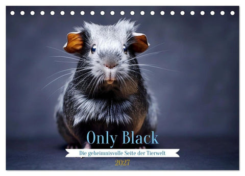 Only Black (Tischkalender 2027 DIN A5 quer), CALVENDO Monatskalender