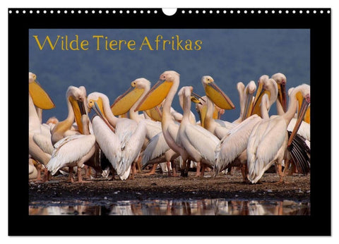 Wilde Tiere Afrikas (Wandkalender 2027 DIN A3 quer), CALVENDO Monatskalender
