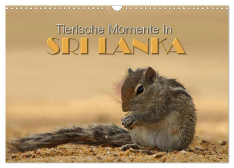 Sri Lanka - Tierische Momente (Wandkalender 2027 DIN A3 quer), CALVENDO Monatskalender