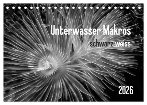 Unterwasser Makros - schwarz weiss 2026 (Tischkalender 2026 DIN A5 quer), CALVENDO Monatskalender