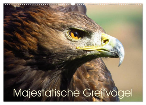 Majestätische Greifvögel (Wandkalender 2026 DIN A2 quer), CALVENDO Monatskalender