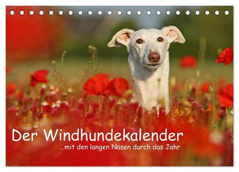 Der Windhundekalender (Tischkalender 2027 DIN A5 quer), CALVENDO Monatskalender