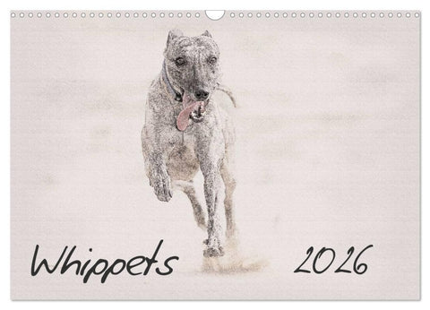 Whippets 2026 (Wall Calendar 2026 DIN A3 landscape), CALVENDO 12 Month Wall Calendar