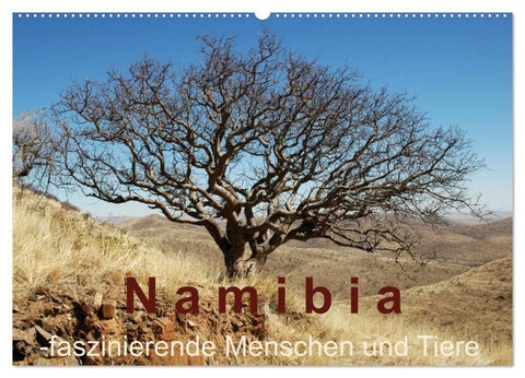 Namibia - faszinierende Menschen und Tiere (Wandkalender 2026 DIN A2 quer), CALVENDO Monatskalender