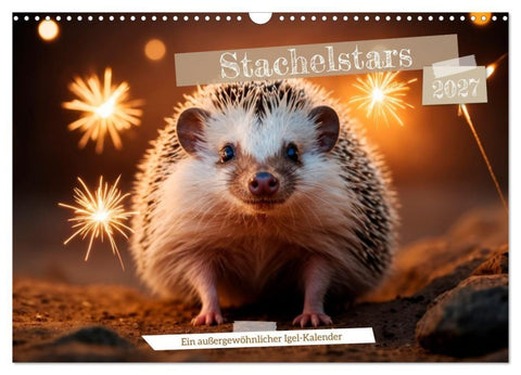 Stachelstars (Wandkalender 2027 DIN A3 quer), CALVENDO Monatskalender