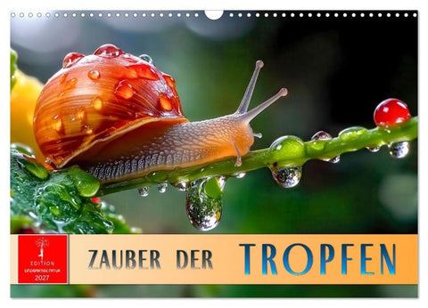 Zauber der Tropfen (Wandkalender 2027 DIN A3 quer), CALVENDO Monatskalender
