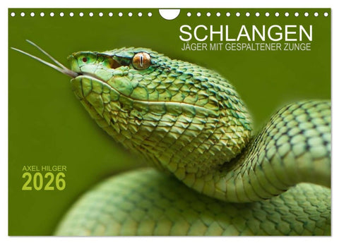 SCHLANGEN. JÄGER MIT GESPALTENER ZUNGE (Wandkalender 2026 DIN A4 quer), CALVENDO Monatskalender