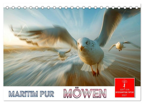 Maritim pur - Möwen (Tischkalender 2027 DIN A5 quer), CALVENDO Monatskalender