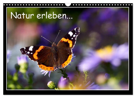 Natur erleben... (Wandkalender 2026 DIN A3 quer), CALVENDO Monatskalender