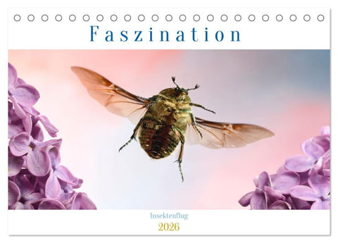 Faszination Insektenflug (Tischkalender 2026 DIN A5 quer), CALVENDO Monatskalender