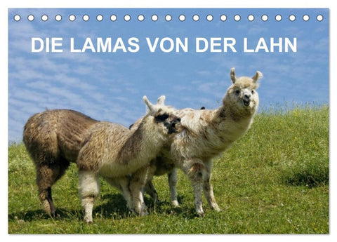 DIE LAMAS VON DER LAHN (Tischkalender 2026 DIN A5 quer), CALVENDO Monatskalender