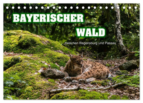 Bayerischer Wald (Tischkalender 2026 DIN A5 quer), CALVENDO Monatskalender