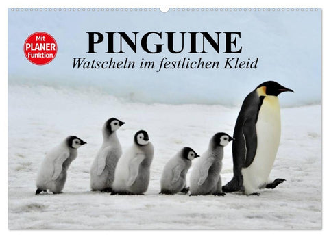 Pinguine - Watscheln im festlichen Kleid (Wandkalender 2026 DIN A2 quer), CALVENDO Monatskalender