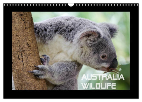 Australia Wildlife (Wandkalender 2027 DIN A3 quer), CALVENDO Monatskalender