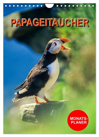 Papageitaucher Monatsplaner (Wandkalender 2027 DIN A4 hoch), CALVENDO Monatskalender