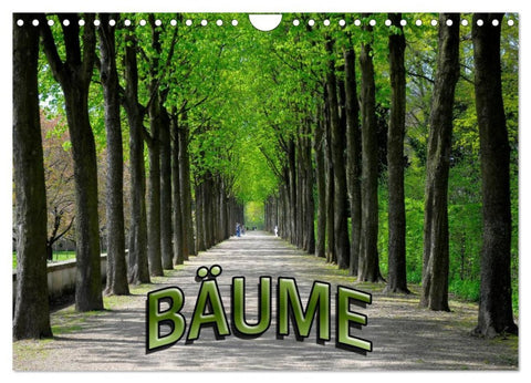 Bäume 2026 (Wandkalender 2026 DIN A4 quer), CALVENDO Monatskalender